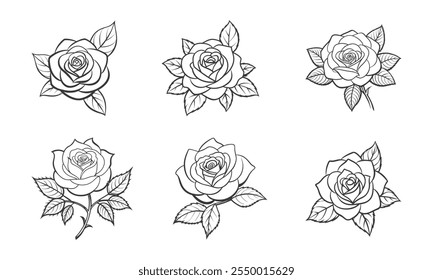 Elegant Rose Flower with Leaves Vector Art Collection, Classic Rose Illustration with Lush Leaves