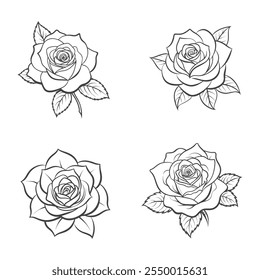 Elegant Rose Flower with Leaves Vector Art Collection, Classic Rose Illustration with Lush Leaves