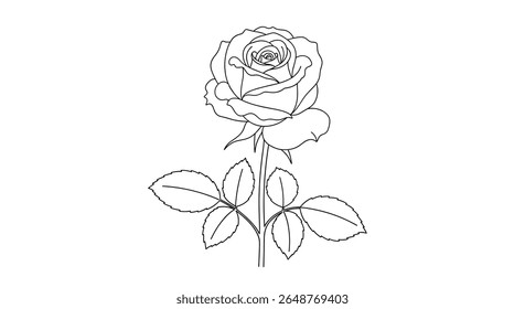 Elegant rose illustration simple and beautiful flower drawing for decorative purposes and artistic expression