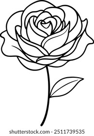 Ilustración elegante del dibujo de la línea de Rose - diseño blanco y negro simple de la flor para el arte y los proyectos del arte