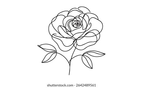 Elegant rose one line drawing artwork of a single flower