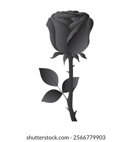 

Elegant rose vector design with detailed petals and smooth curves.