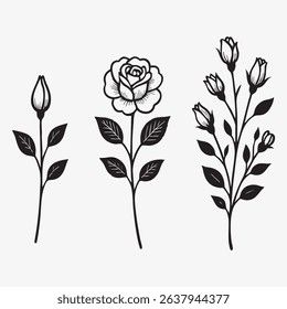 Elegant Rose Vector Illustrations A Collection of Botanical Floral Designs in Black and White Ideal for Wedding Invitations and Romantic Graphic Projects