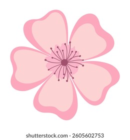Elegant Sakura Flower Illustrations Flat Pastel Color