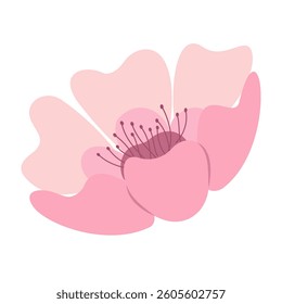 Elegant Sakura Flower Illustrations Flat Pastel Color