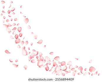 Elegant sakuta tree blossom petals flying on white groundwork vector illustration. Mother's day flower decor elements. Dreamy spring pink bloom petals holiday Relaxing concept.