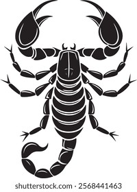 Elegant Scorpion silhouette vector art on white background