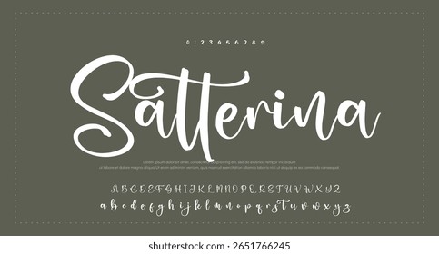 
Tipografía elegante del alfabeto de la fuente del script 
