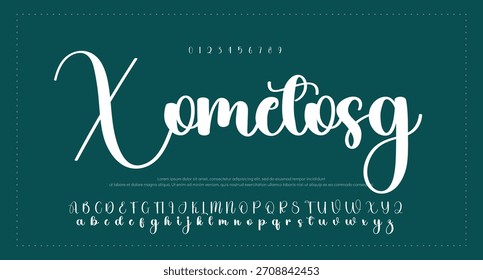 Tipografía elegante del alfabeto de la fuente del script. Signature Font Calligraphy Logotype Script Brush Tipo de fuente Letras de fuentes escritas a mano 