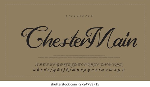 Elegant Script Font Alphabet Typography 