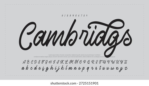 Tipografía elegante del alfabeto de la fuente del script 