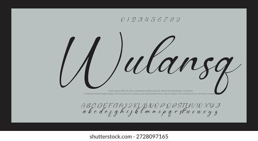 
Elegant Script Font Alphabet Typography 