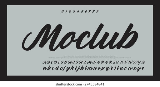 Elegant Script Font Alphabet Typography 