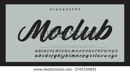 Elegant Script Font Alphabet Typography 