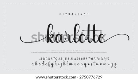Elegant Script Font Alphabet Typography 