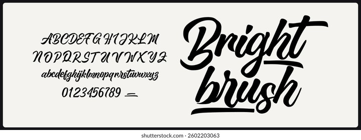  Elegant script vector font. Alphabet vector font with Uppercase, lowercase, and number. Stylish decorative hand drawn.