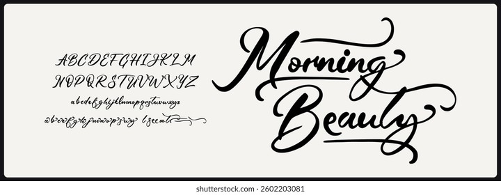 Elegant script vector font. Alphabet vector font with Uppercase, lowercase, and variation. Stylish decorative hand drawn.