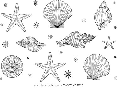Elegant Sea Life Illustration Featuring Starfish, Seashells, and Small Floral Accents in a Delicate Black and White Style