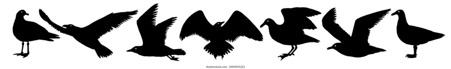 Elegant seagulls silhouettes vector set