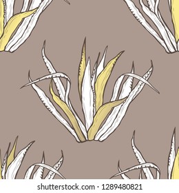 Elegant seamless pattern with agave plants, design elements. Floral  pattern for invitations, cards, print, gift wrap, manufacturing, textile, fabric, wallpapers. Succulents