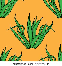 Elegant seamless pattern with agave plants, design elements. Floral  pattern for invitations, cards, print, gift wrap, manufacturing, textile, fabric, wallpapers. Succulents