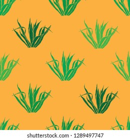 Elegant seamless pattern with agave plants, design elements. Floral  pattern for invitations, cards, print, gift wrap, manufacturing, textile, fabric, wallpapers. Succulents