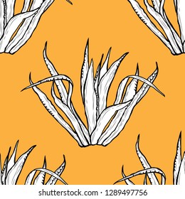 Elegant seamless pattern with agave plants, design elements. Floral  pattern for invitations, cards, print, gift wrap, manufacturing, textile, fabric, wallpapers. Succulents
