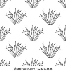 Elegant seamless pattern with agave plants, design elements. Floral  pattern for invitations, cards, print, gift wrap, manufacturing, textile, fabric, wallpapers. Succulents