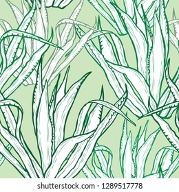 Elegant seamless pattern with agave plants, design elements. Floral  pattern for invitations, cards, print, gift wrap, manufacturing, textile, fabric, wallpapers. Succulents