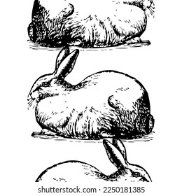 Elegant seamless pattern with angora rabbits, design elements. Animal pattern for invitations, cards, print, gift wrap, manufacturing, textile, fabric, wallpapers. Chinese Symbol of 2023