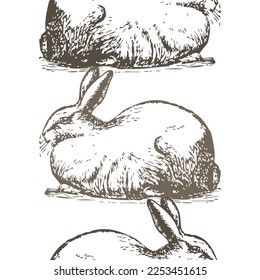 Elegant seamless pattern with angora rabbits, design elements. Animal pattern for invitations, cards, print, gift wrap, manufacturing, textile, fabric, wallpapers. Chinese Symbol of 2023