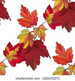 Elegant seamless pattern with autumn leaves, design elements.Autumn  pattern for invitations, cards, print, gift wrap, manufacturing, textile, fabric, wallpapers