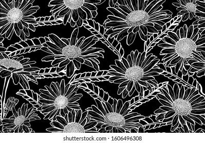 Elegant seamless pattern with chamomile flowers, design elements. Floral  pattern for invitations, cards, print, gift wrap, manufacturing, textile, fabric, wallpapers