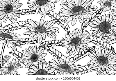 Elegant seamless pattern with chamomile flowers, design elements. Floral  pattern for invitations, cards, print, gift wrap, manufacturing, textile, fabric, wallpapers