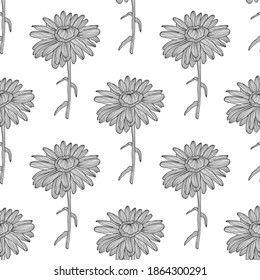 Elegant seamless pattern with chamomile flowers, design elements. Floral  pattern for invitations, cards, print, gift wrap, manufacturing, textile, fabric, wallpapers