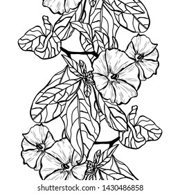 Elegant seamless pattern with clematis flowers, design elements. Floral  pattern for invitations, cards, print, gift wrap, manufacturing, textile, fabric, wallpapers