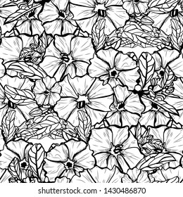 Elegant seamless pattern with clematis flowers, design elements. Floral  pattern for invitations, cards, print, gift wrap, manufacturing, textile, fabric, wallpapers