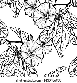 Elegant seamless pattern with clematis flowers, design elements. Floral  pattern for invitations, cards, print, gift wrap, manufacturing, textile, fabric, wallpapers