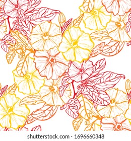 Diseño elegante y transparente con flores clematis, elementos de diseño. Patrón floral para invitaciones, tarjetas, papel, envoltura de regalo, manufactura, textiles, tejidos, papeles pintados