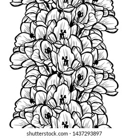 Elegant seamless pattern with clivia (amaryllis) flowers, design elements. Floral  pattern 