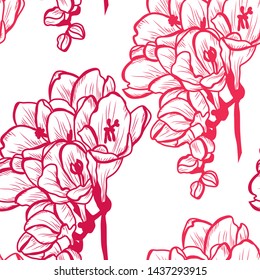 Elegant seamless pattern with clivia (amaryllis) flowers, design elements. Floral  pattern 