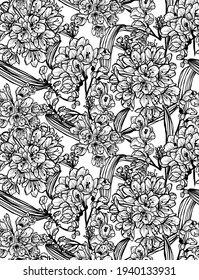 Elegantes, nahtloses Muster mit Clivia-Blumen, Design-Elementen. Blumenmuster für Einladungen, Karten, Druck, Geschenkverpackungen, Herstellung, Textilien, Gewebe, Wallpaper
