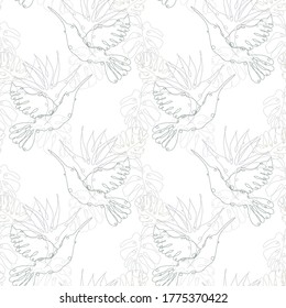 Elegant seamless pattern with colibris, monstera and strelitzia, design elements. Floral  pattern for invitations, cards, print, gift wrap, manufacturing, textile, fabric. Continuous line art style