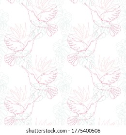 Elegant seamless pattern with colibris, monstera and strelitzia, design elements. Floral  pattern for invitations, cards, print, gift wrap, manufacturing, textile, fabric. Continuous line art style