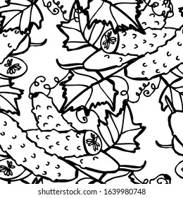 Elegant seamless pattern with cucumbers, design elements. Vegetable pattern for invitations, cards, print, gift wrap, manufacturing, textile, fabric, wallpapers. Food, kitchen, vegetarian theme