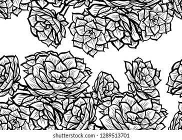 Elegant seamless pattern with echeveria plants, design elements. Floral  pattern for invitations, cards, print, gift wrap, manufacturing, textile, fabric, wallpapers. Succulents