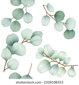  elegant seamless pattern eucalyptus leaves watercolor