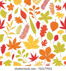 Elegant seamless pattern with fallen autumn leaves of various type and color on white background. Autumnal backdrop with colorful foliage. Vector illustration for textile print, wrapping paper.