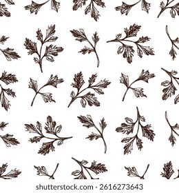 Elegant seamless pattern featuring detailed parsley sprigs in hand drawn vintage style. Ideal for food packaging, organic product branding, culinary backgrounds, and natural-themed textile designs.