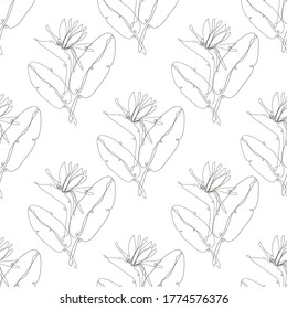 Elegant seamless pattern with flowers, design elements. Floral  pattern for invitations, cards, print, gift wrap, manufacturing, textile, fabric, wallpapers. Continuous line art style